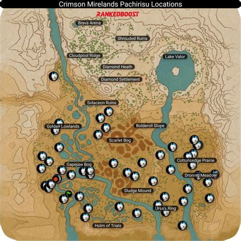 pachirisu evolution arceus|Map of Trees where Pachirisu was found. : .